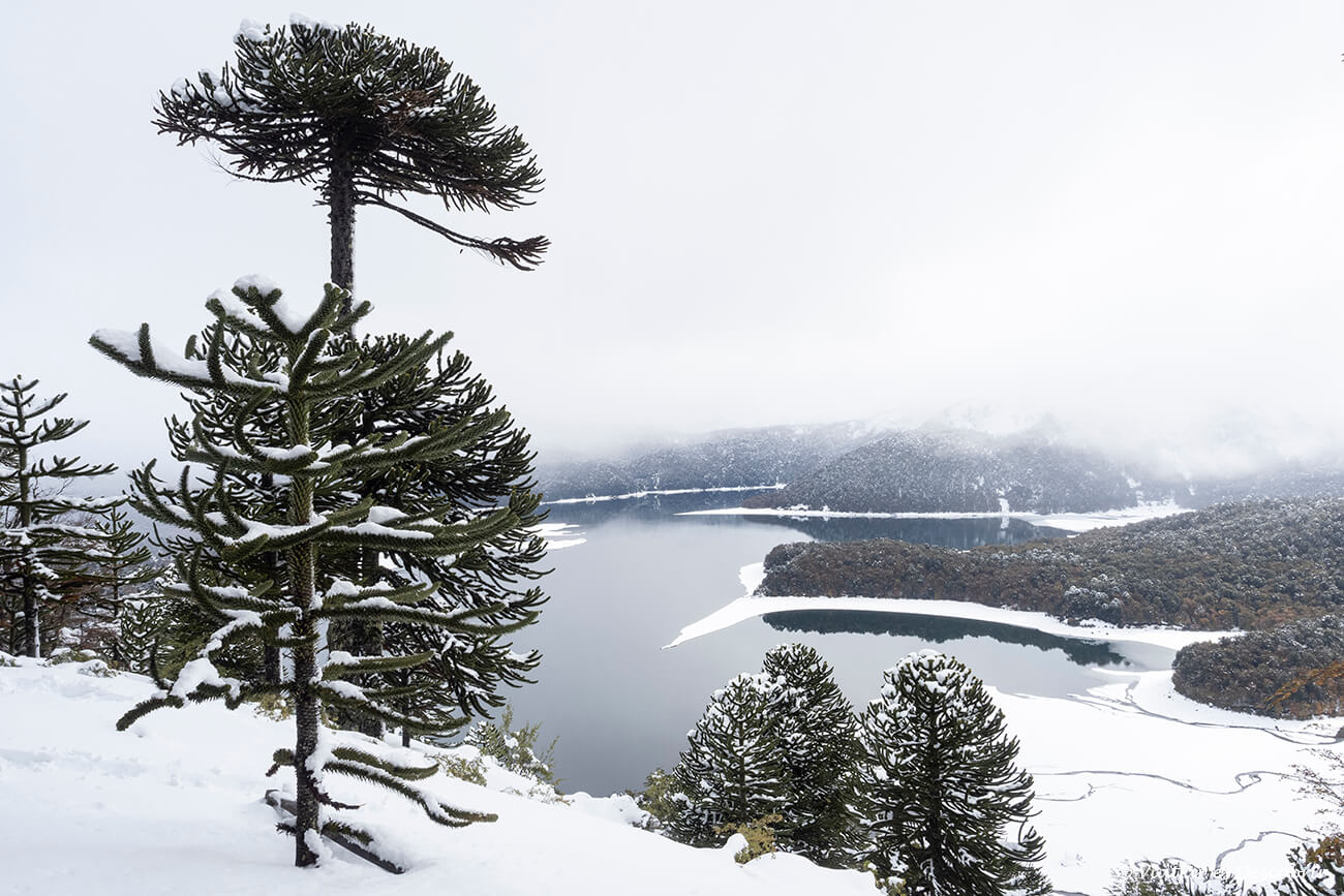 vista panoràmica des del segon mirador de la pujada al mirador Sierra Nevada
