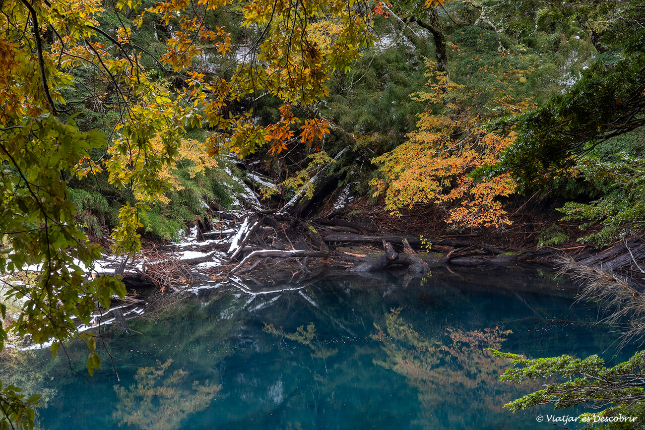 colors turquesa i de la tardor a la Laguna Arcoiris del Conguillío