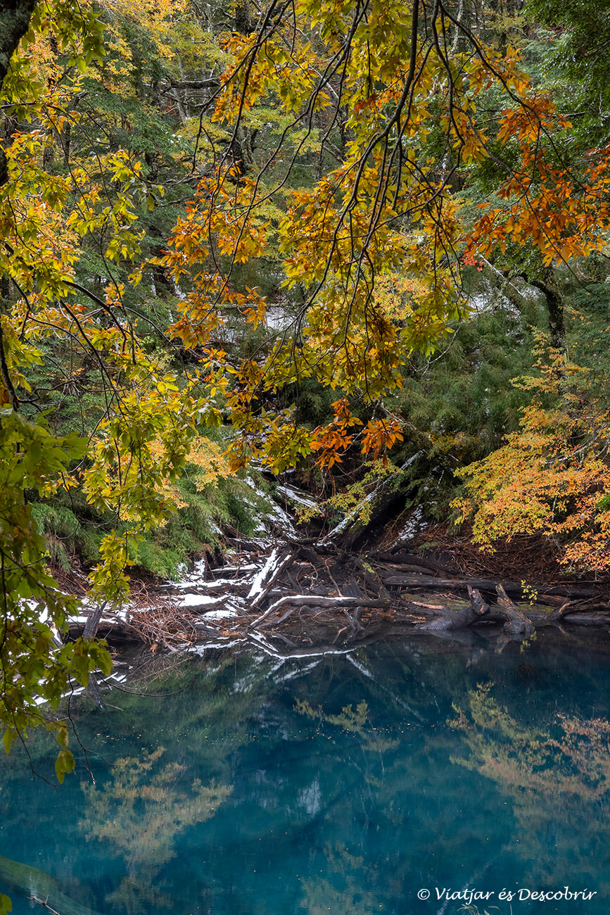 varietat de colors a la laguna arcoíris al visitar el parc nacional conguillio a la tardor
