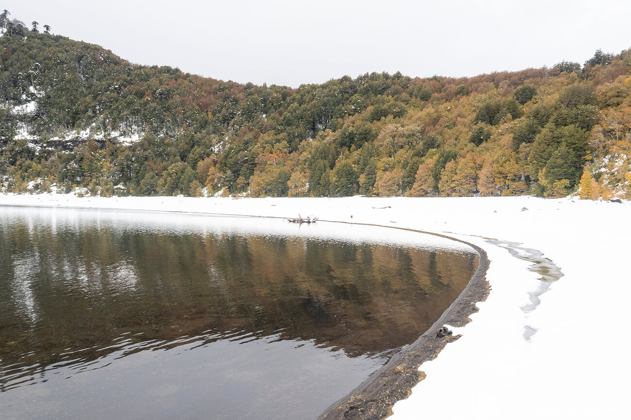 lago conguillio envoltat de neu i amb els boscos amb color de tardor