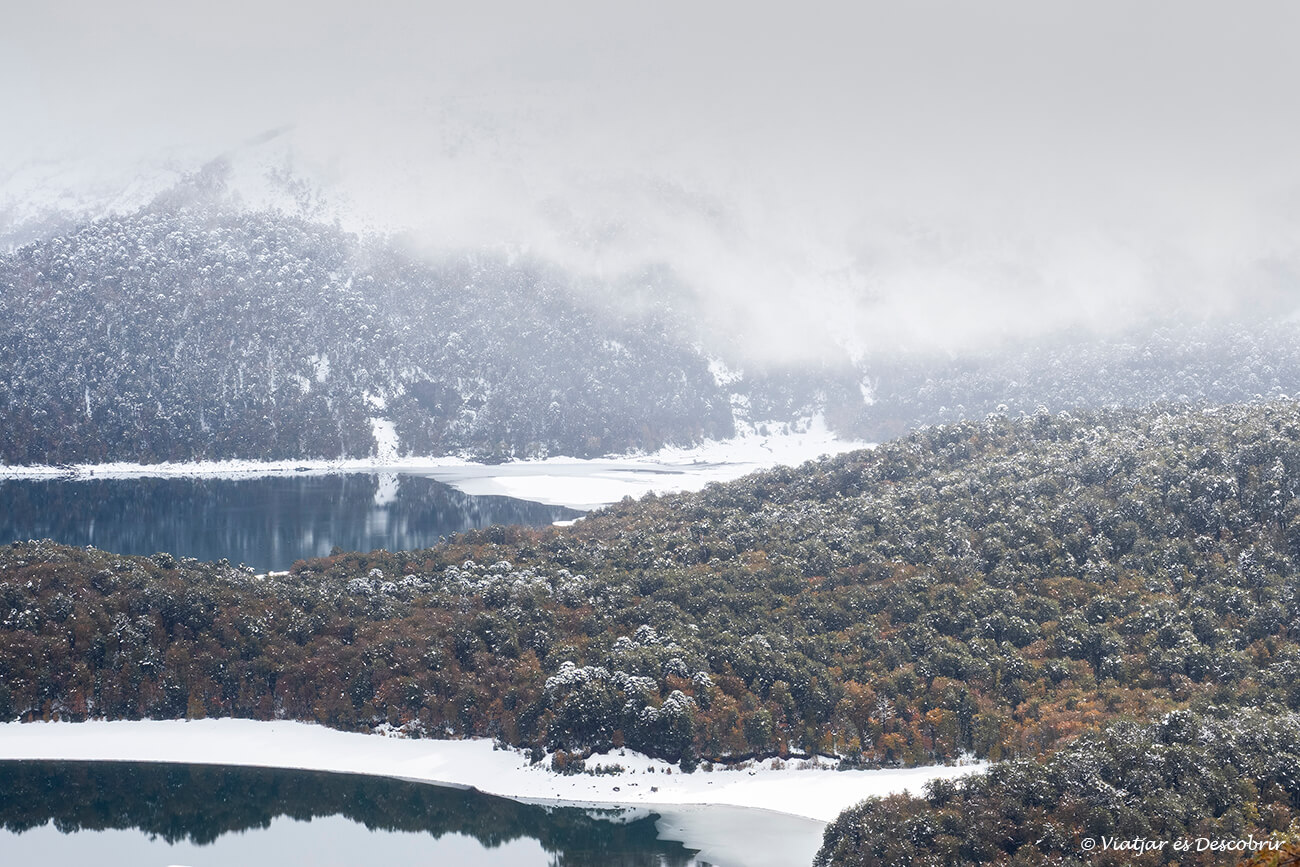 boscos del voltant del llac Conguillio ben nevats i vistos des del mirador Sierra Nevada a la tardor