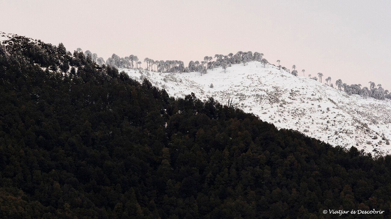 colors posta de sol des de Melipeuco