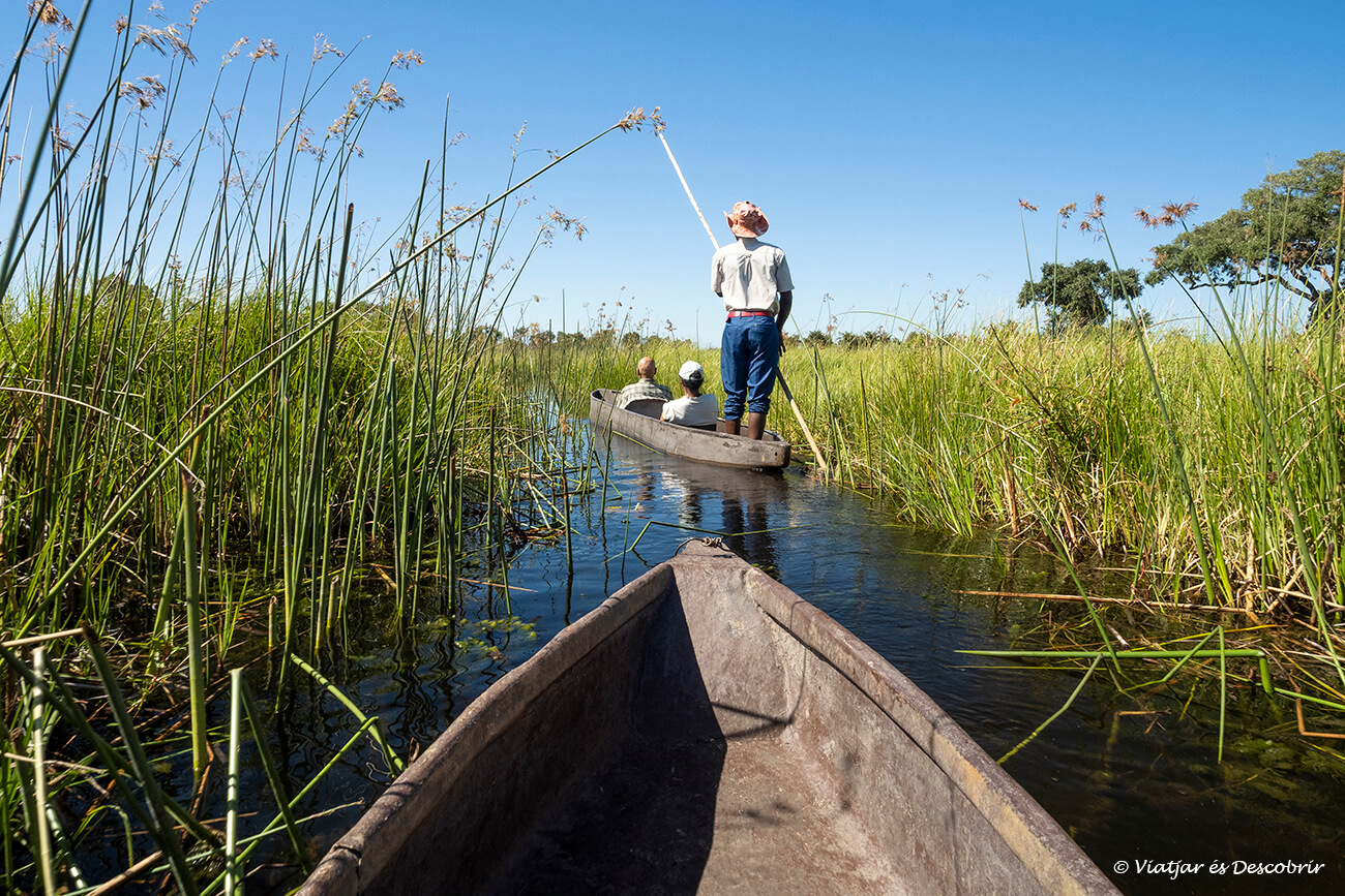 una activitat que sempre cal tenir en compte en pensar quant costa un safari a Botswana són els recorreguts amb mokoro pels canals del Delta de l'Okavango