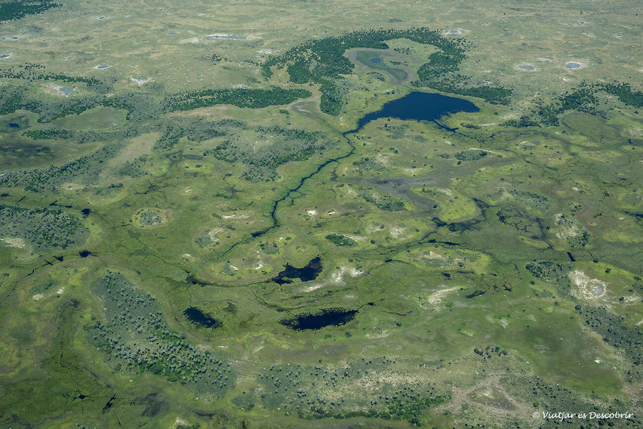 panoràmica del Delta de l'Okavango durant un vol amb avioneta