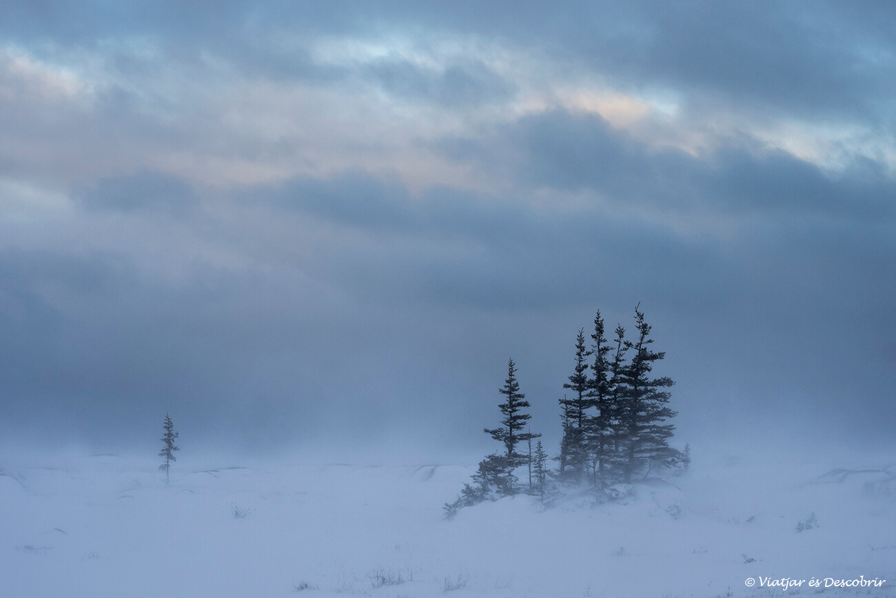paisatge de Churchill amb molta neu i vent durant una sortida de sol