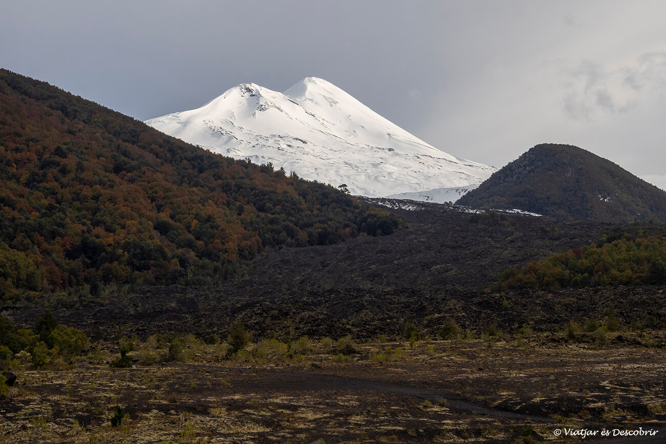 volca llaima nevat des de l'entrada del parc nacional conguillio