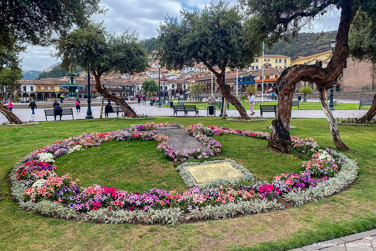 detalls de la vegetació i flors de Cusco