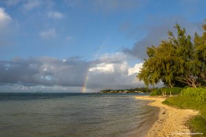 Més informació sobre l'article Quin és el millor moment per viatjar a Maurici?
