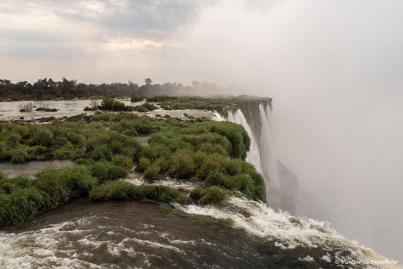cascades i vegetació al costat argentí d'iguaçu