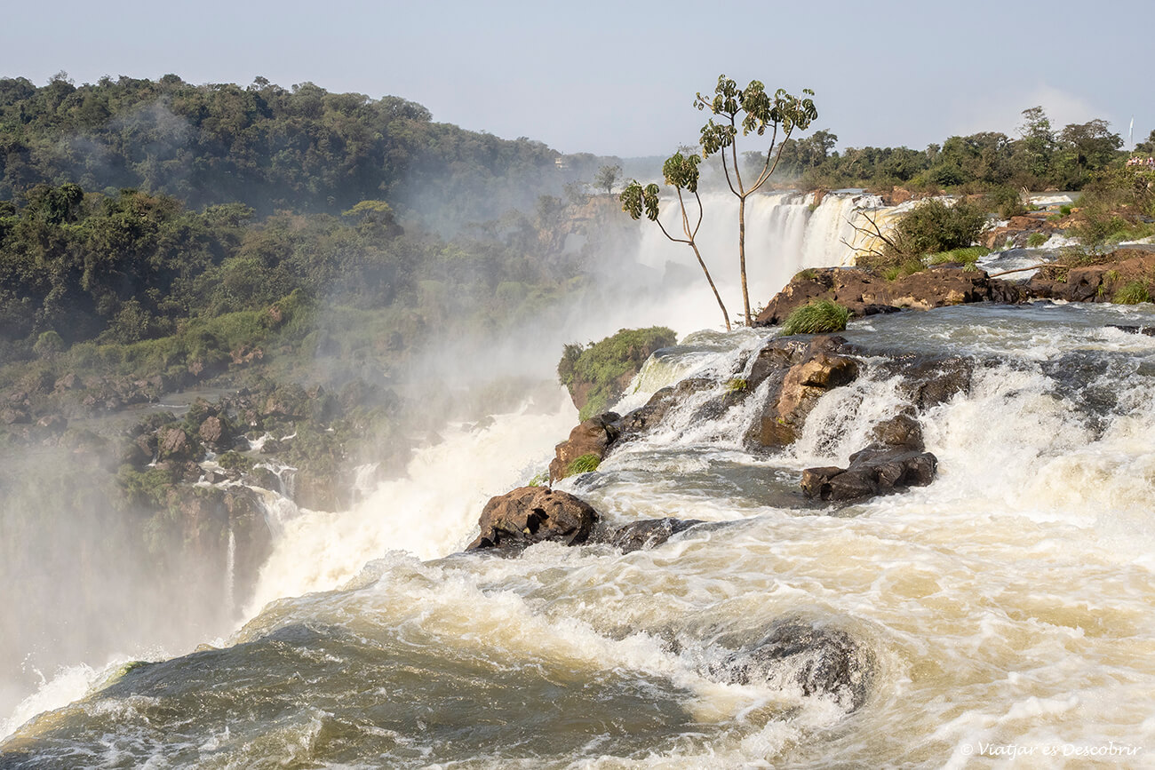 salts d'aigua en un recorregut pel parc nacional iguazu