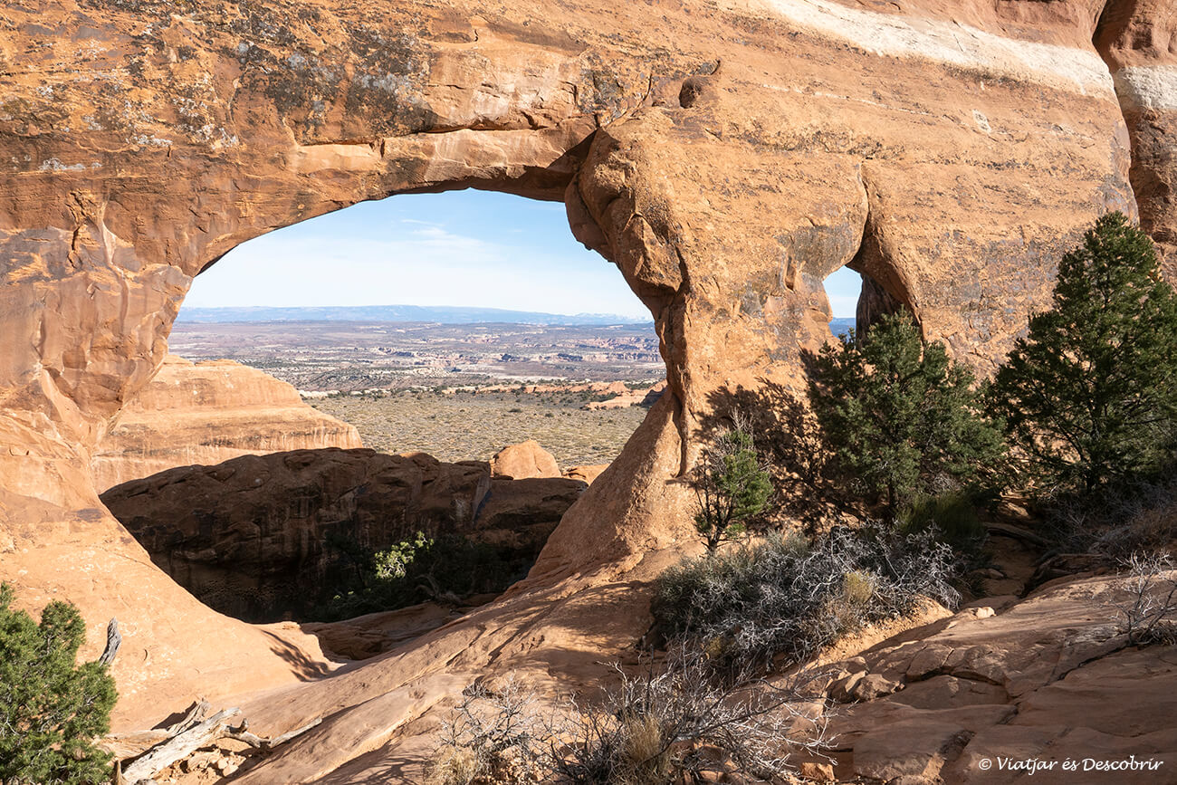 una de les finestres o windows del Primitive Loop