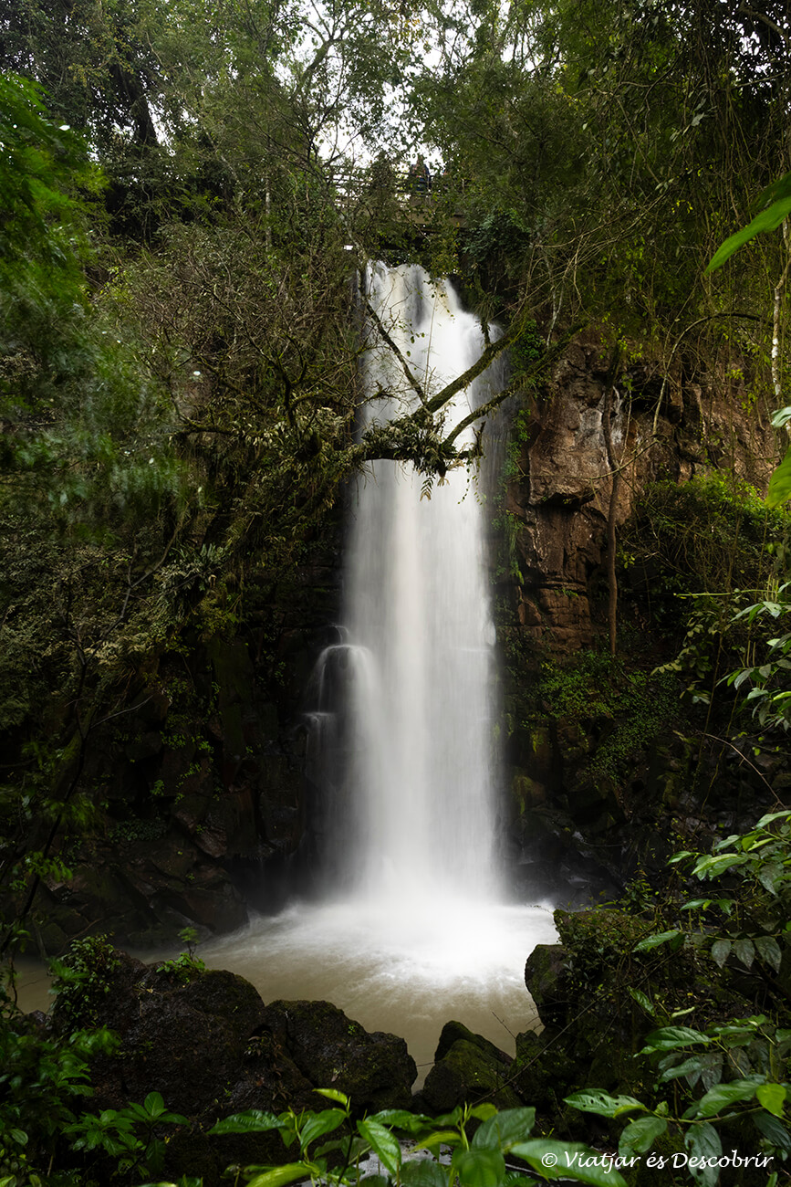 una de les cascades que es pot veure durant el circuito inferior a Iguazu