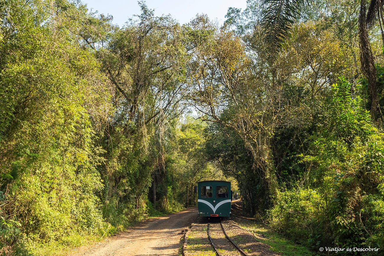 el tren de la selva durant el camí cap a la estación Garganta del Diablo