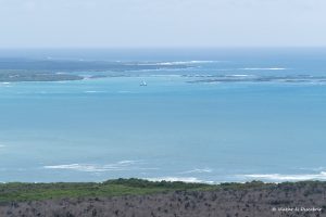 Més informació sobre l'article Concha Perla, el millor lloc on fer snorkel per lliure a les Galápagos