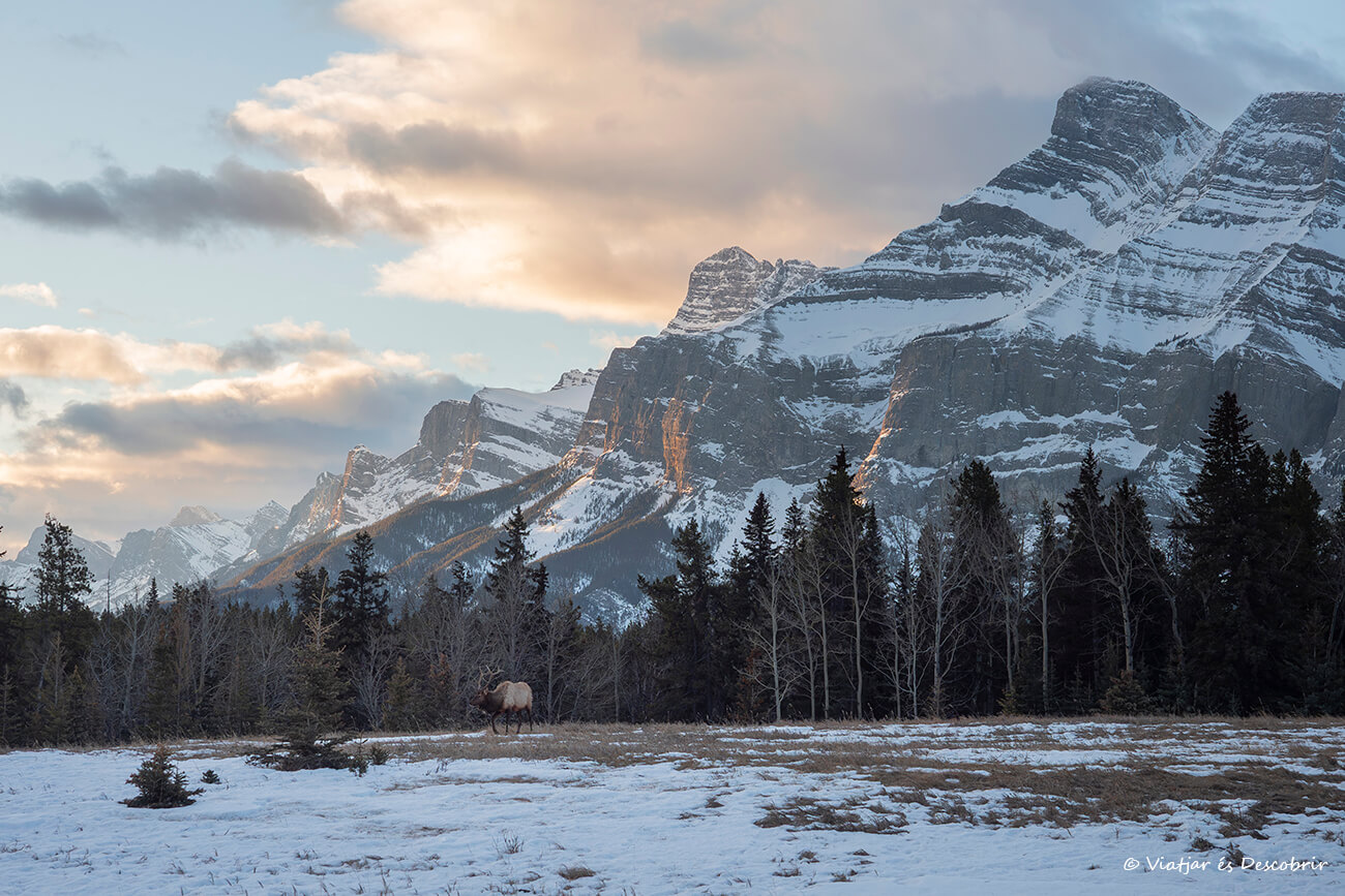 Actualment esteu veient Viatjar al Canadà a l’hivern: La meva ruta i experiència